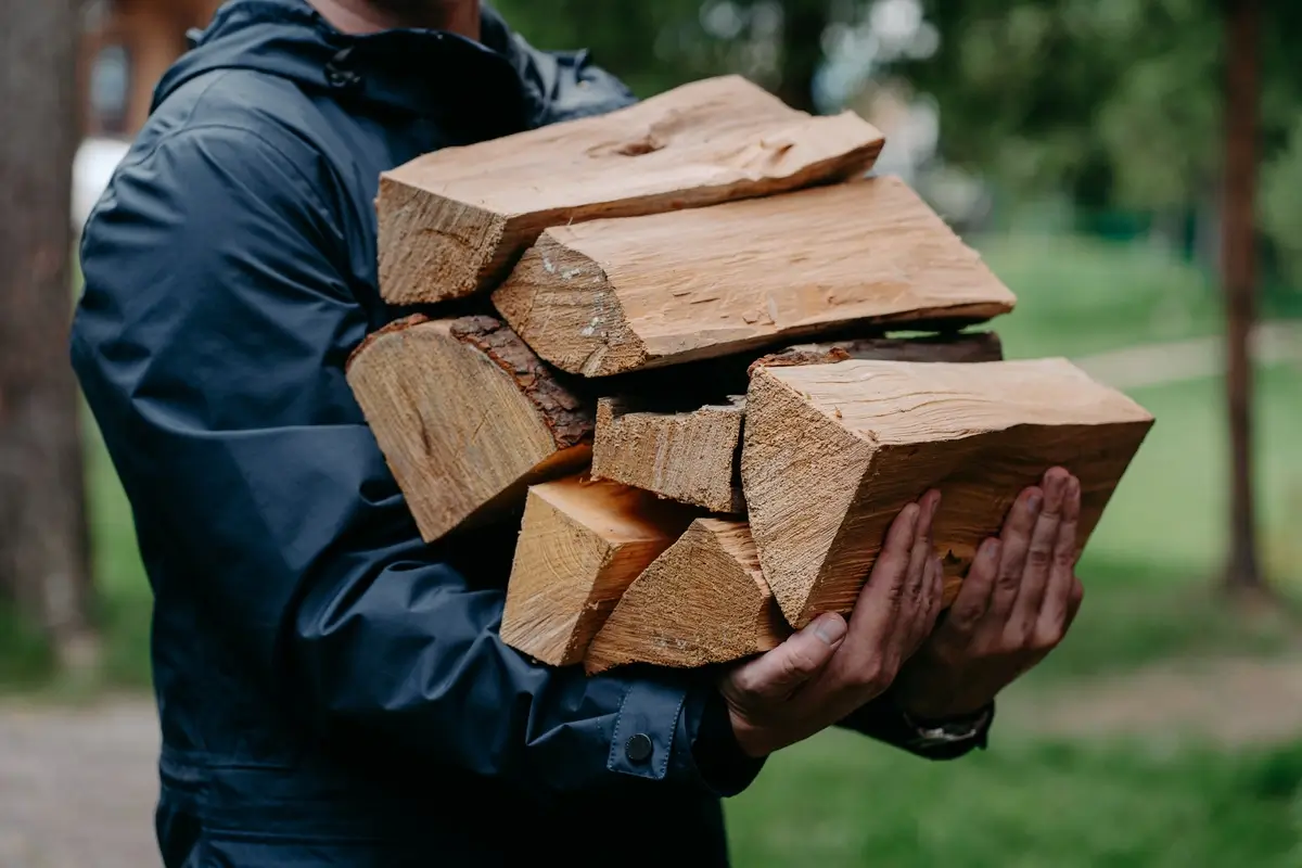 Transport de bûches après élagage pour bois de chauffage