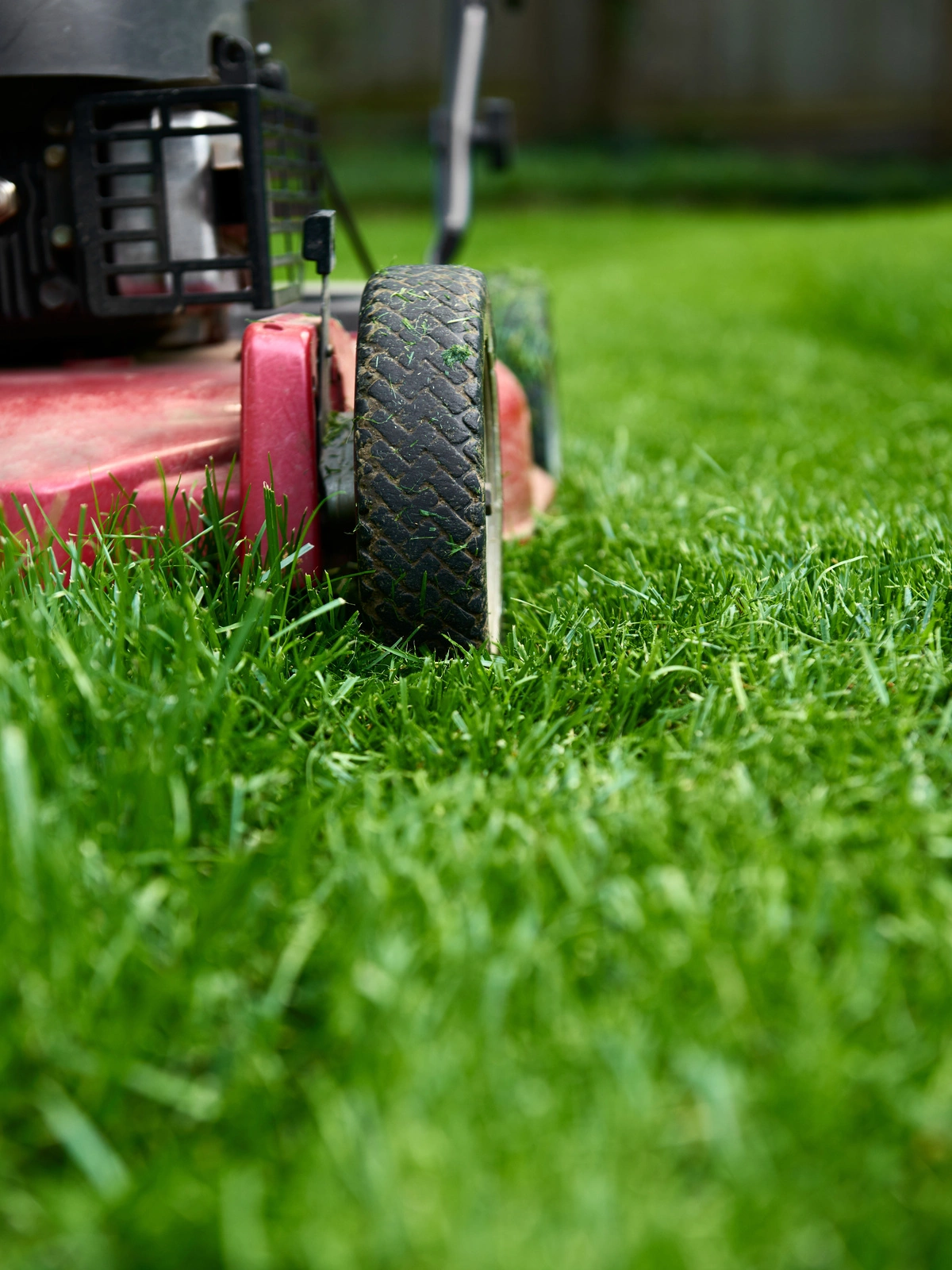 Tonte de pelouse avec tondeuse pour entretien de jardin