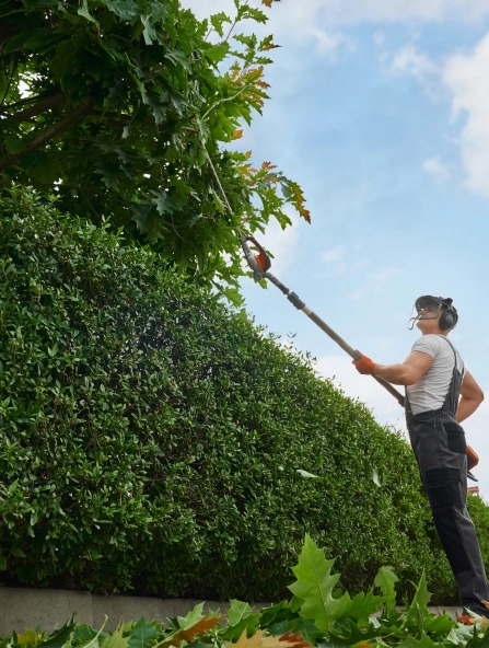 LUMBERJACK 47 : Votre élagueur expert à Laparade, pour un élagage de précision près d'Agen