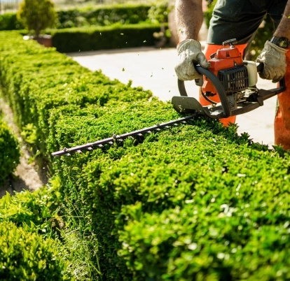 Entretien de jardin